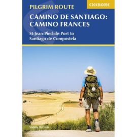 CAMINO DE SANTIAGO : CAMINO FRANCES